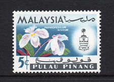 Penang 1965 paphiopedilum for sale  UK