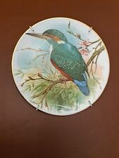 china wall plates for sale  BRENTWOOD