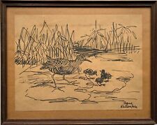 Used, Drawing Wasservogel Chick on the Shore Coast Nature Signed Vintage Scandinavia for sale  Shipping to Canada