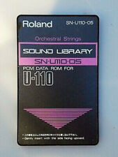 Roland u110 orchestral usato  Roma