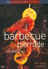 3793316 barbecue pierrade d'occasion  France