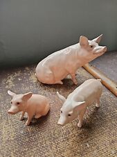 John beswick pigs for sale  WELLINGTON