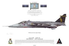 squadron prints for sale  ARBROATH