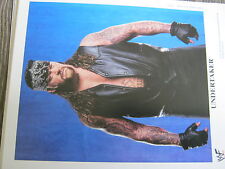 Undertaker wwe riginal gebraucht kaufen  Bernau