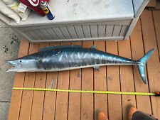Vintage rare wahoo for sale  Chicago