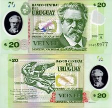 Uruguay pesos 2020 usato  Anzio