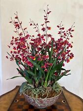 Faux oncidium orchid for sale  Corte Madera
