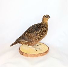 Taxidermy red grouse for sale  DARLINGTON