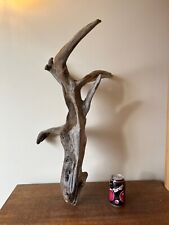 bogwood driftwood for sale  Shipping to Ireland