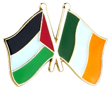 Ireland palestine badge for sale  Shipping to Ireland