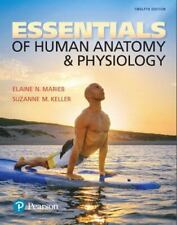 Essentials of Human Anatomy & Physiology 12ª edição brochura comprar usado  Enviando para Brazil