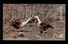 QSL HCJB Radio Quito 11.745 MHz Waved Albatross Galápagos SWL DX 1972 Lote de 2 comprar usado  Enviando para Brazil