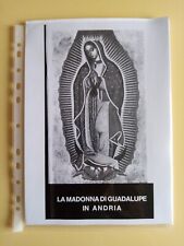 Madonna guadalupe in usato  Italia