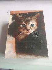 Caixa de madeira vintage, com foto de gato no topo, 6 3/4 × 5" × 2 1/2 de altura comprar usado  Enviando para Brazil
