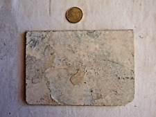 Poisson fossile dégagé d'occasion  Salon-de-Provence