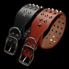 Dog studded genuine for sale  Shipping to Ireland