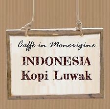 Indonesia kopi luwak usato  Bovolone