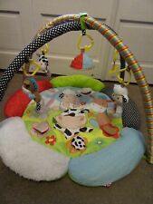 Playmat arch.elc.0 months.blos for sale  EMSWORTH