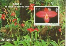 2004 jersey orchids for sale  GREAT YARMOUTH