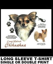 Long hair chihuahua for sale  Cape Coral