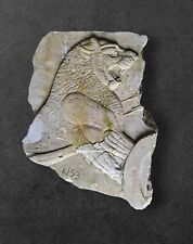 Lion assyriens rare d'occasion  Les Ollières-sur-Eyrieux