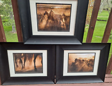 Set framed stunning for sale  Fort Collins