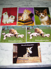 Postkarten ansichtskarten katz gebraucht kaufen  Unterschleißheim