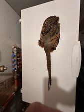 Pheasant pelt feathers for sale  Plankinton