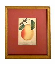 Pear print antique for sale  Broken Arrow