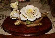 Lovely capidamonte rose for sale  Etowah