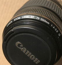 Canon 300 is usato  Bologna