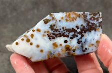 Polka dot agate for sale  Fountain Valley