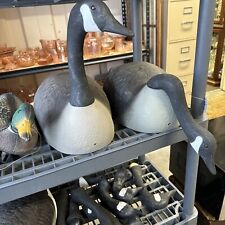 Carry lite goose for sale  Clarion