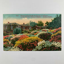 Postcard flower botanical for sale  Elk Grove