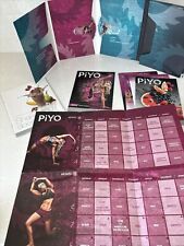 Beachbody piyo disc for sale  Beaver Dam