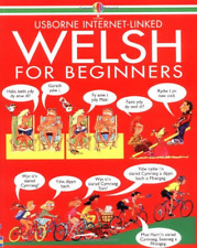 Welsh beginners 1 for sale  ROSSENDALE