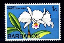 Barbados 1974 1977 usato  Brescia