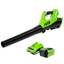 Greenworks 40v cordless for sale  Lake Elsinore