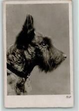 10143194 scottish terrier gebraucht kaufen  Deutschland