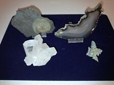Mineralien konvolut ammonit gebraucht kaufen  Kray