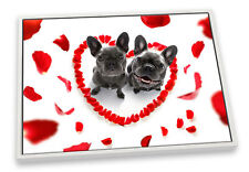 French bulldogs love for sale  UK