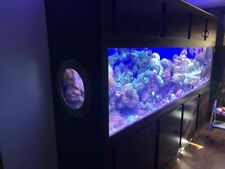 400 acrylic saltwater for sale  Tallahassee