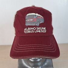 Albino skunk bus for sale  Indianapolis
