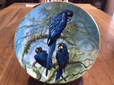 Macaw plate hyacinth for sale  BALLYCLARE