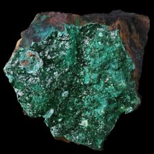 Atacamite lily 2 d'occasion  France