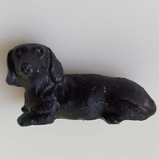 Miniature dachshund daxie for sale  MARKET HARBOROUGH
