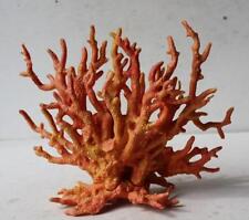 Coral reef orange for sale  Noblesville