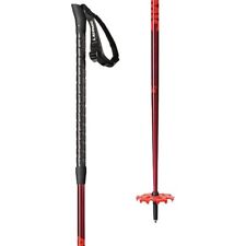 atomic skis poles for sale  Ada