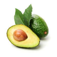 Hass avocado seed for sale  Hilo