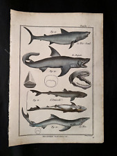 Bonnaterre sharks pl.7 d'occasion  Paris-